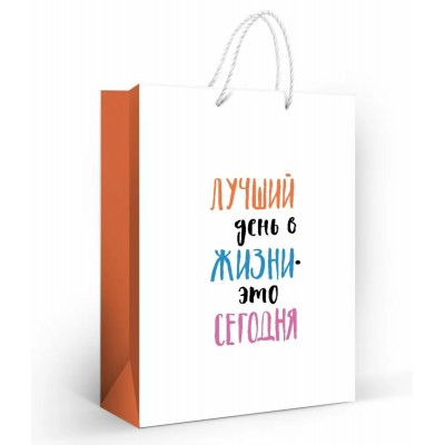 Горчаков/Пакет бумажный ламинированный. Лучший день в жизни/260 х 327 х 136/10000251/