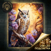 Картина по номерам холст на подрамнике 40х50 Филин на цветущем дереве USB LED подсветка 28 цветов LHR0027 Молли