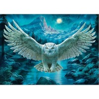 Мозаика алмазная холст без подрамника 30х40 Полярная сова полная выкладка 30 цветов НД-6367 Рыжий кот