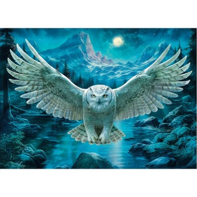 Мозаика алмазная холст без подрамника 30х40 Полярная сова полная выкладка 30 цветов НД-6367 Рыжий кот