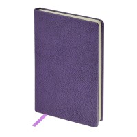 Ежедневник датированный А5 168 листов линия, твердая обложка, кожзам Megapolis loft фолетовый, ляссе, 70г/м2 3-805/12 Альт 2026 Ежедневник датированный А5 168 листов линия, твердая обложка, кожзам Megapolis loft фолетовый, ляссе, 70г/м2 3-805/12 Альт 2026
