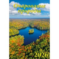 ДеньЗаДнем/Календарь настенный перекидной на ригеле 2026. Очарование природы/350 х 500/12607/