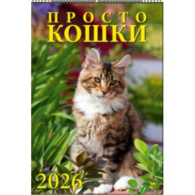 ДеньЗаДнем/Календарь настенный перекидной на ригеле 2026. Просто кошки/350 х 500/12610/