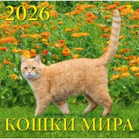 ДеньЗаДнем/Календарь настенный перекидной на скрепке 2026. Кошки мира/300 х 300/70604/
