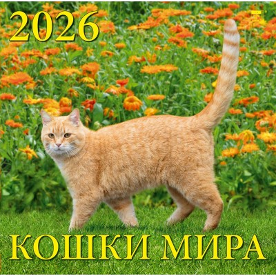 ДеньЗаДнем/Календарь настенный перекидной на скрепке 2026. Кошки мира/300 х 300/70604/