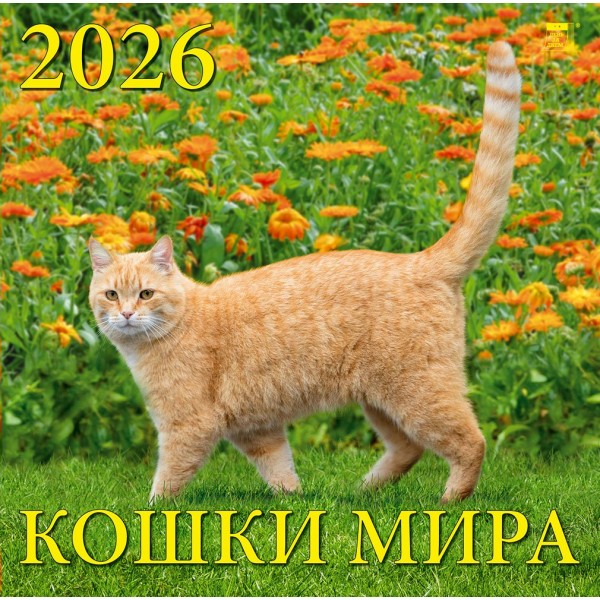 ДеньЗаДнем/Календарь настенный перекидной на скрепке 2026. Кошки мира/300 х 300/70604/