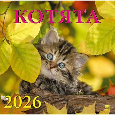 ДеньЗаДнем/Календарь настенный перекидной на скрепке 2026. Котята/300 х 300/70605/
