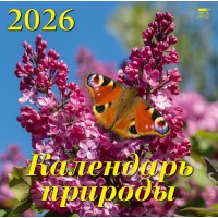 ДеньЗаДнем/Календарь настенный перекидной на скрепке 2026. Календарь природы/300 х 300/70608/
