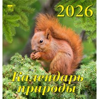 ДеньЗаДнем/Календарь настенный перекидной на скрепке 2026. Календарь природы/160 х 170/30610/