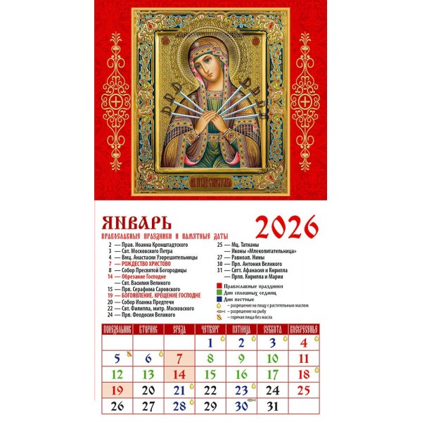 ДеньЗаДнем/Календарь настенный магнитный с отрывным блоком 2026. Обр.Пр.Б-цы Семистрельная/94 х 167/20611/