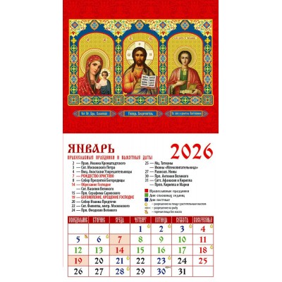 ДеньЗаДнем/Календарь настенный магнитный с отрывным блоком 2026. Обр.Пр.Б - цы Казанская/94 х 167/20612/