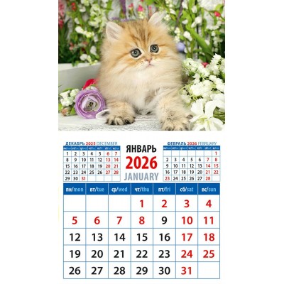 ДеньЗаДнем/Календарь настенный магнитный с отрывным блоком 2026. Очаровательный котенок/94 х 167/20617/