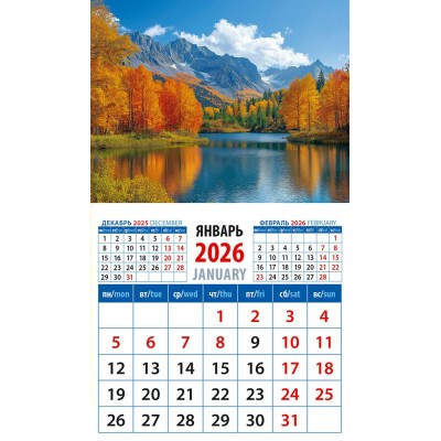 ДеньЗаДнем/Календарь настенный магнитный с отрывным блоком 2026. Прекрасный вид/94 х 167/20619/