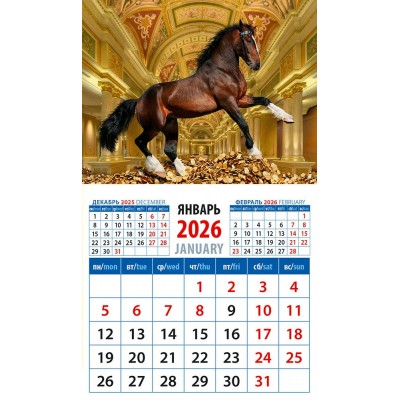ДеньЗаДнем/Календарь настенный магнитный с отрывным блоком 2026. Год лошади - Год удачи/94 х 167/20623/