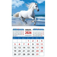 ДеньЗаДнем/Календарь настенный магнитный с отрывным блоком 2026. Год лошади. На морском берегу/94 х 167/20624/