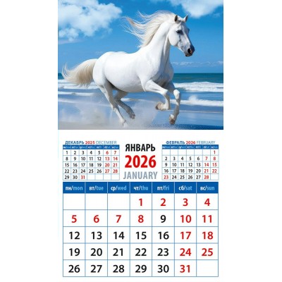 ДеньЗаДнем/Календарь настенный магнитный с отрывным блоком 2026. Год лошади. На морском берегу/94 х 167/20624/