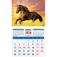 ДеньЗаДнем/Календарь настенный магнитный с отрывным блоком 2026. Год лошади. В лучах закатного солнца/94 х 167/20627/