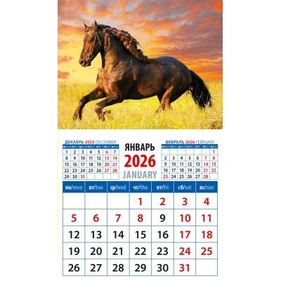 ДеньЗаДнем/Календарь настенный магнитный с отрывным блоком 2026. Год лошади. В лучах закатного солнца/94 х 167/20627/