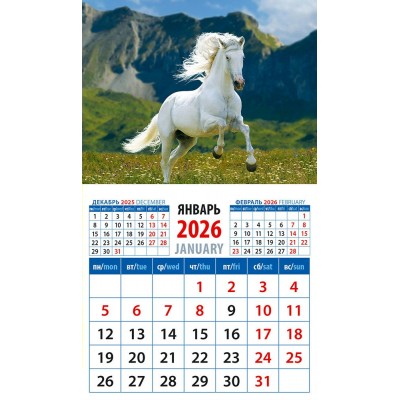 ДеньЗаДнем/Календарь настенный магнитный с отрывным блоком 2026. Год лошади. На фоне гор/94 х 167/20630/