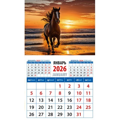 ДеньЗаДнем/Календарь настенный магнитный с отрывным блоком 2026. Год лошади. Морской закат/94 х 167/20632/