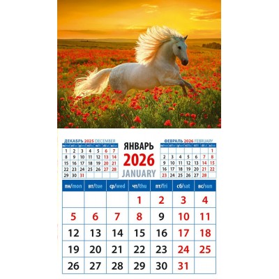 ДеньЗаДнем/Календарь настенный магнитный с отрывным блоком 2026. Год лошади. Среди цветов на закате/94 х 167/20635/