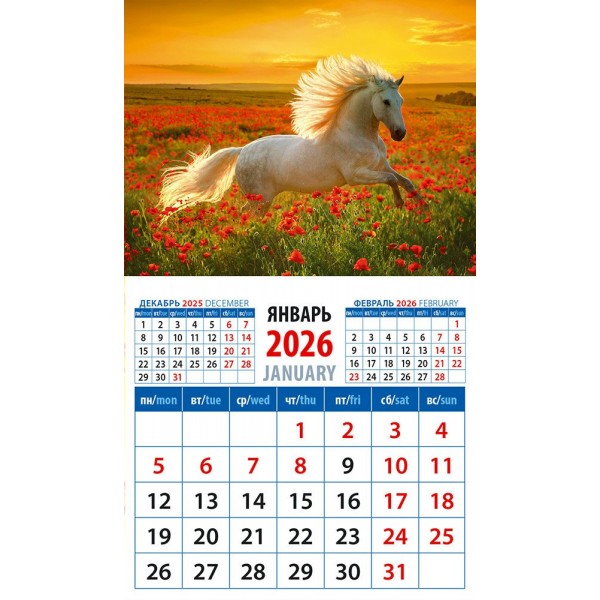ДеньЗаДнем/Календарь настенный магнитный с отрывным блоком 2026. Год лошади. Среди цветов на закате/94 х 167/20635/