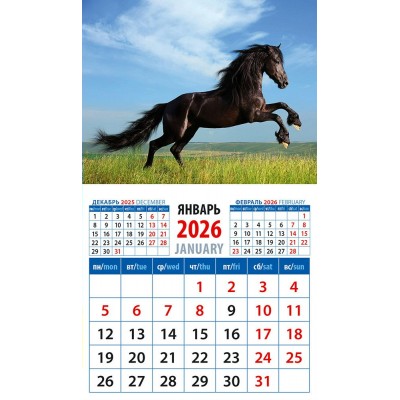 ДеньЗаДнем/Календарь настенный магнитный с отрывным блоком 2026. Год лошади. Красота и сила/94 х 167/20636/