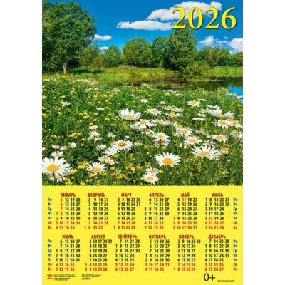 ДеньЗаДнем/Календарь настенный листовой 2026. Цветущий луг/440 х 630/А2/90610/