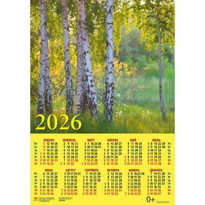 ДеньЗаДнем/Календарь настенный листовой 2026. Поэзия русской природы/440 х 630/А2/90614/