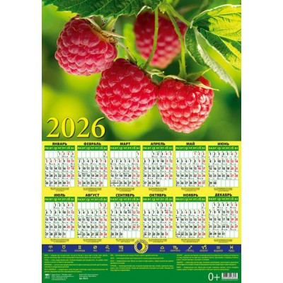 ДеньЗаДнем/Календарь настенный листовой 2026. Лунный календарь/440 х 630/А2/90616/