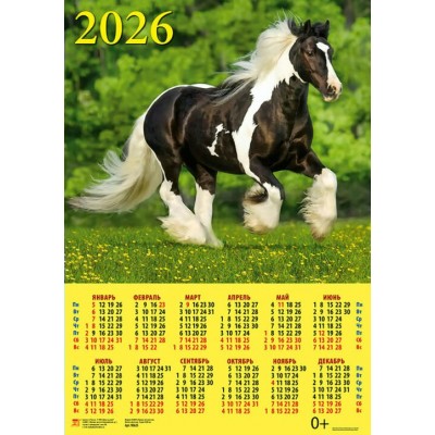 ДеньЗаДнем/Календарь настенный листовой 2026. Год лошади. Великолепный жеребец/440 х 630/А2/90627/