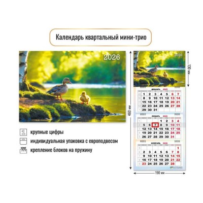 Квадра/Календарь настенный квартальный 3 блочный мини 2026. Природа/190 х 460/9238/