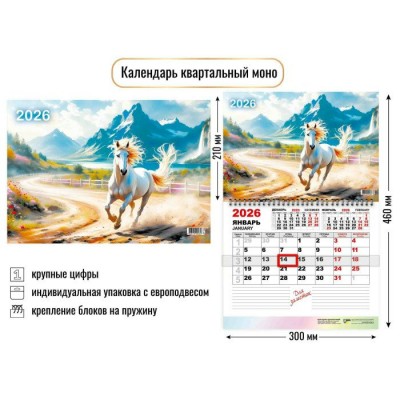 Квадра/Календарь настенный перекидной 1 блочный моно 2026. Символ года/300 х 460/9464/