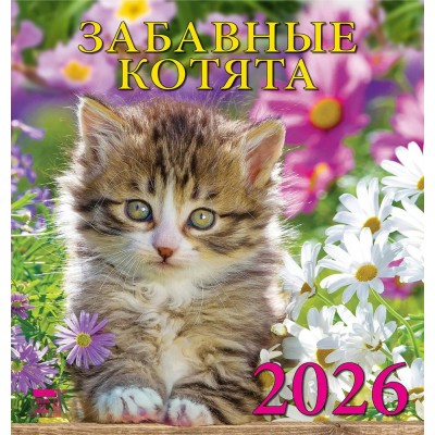 ДеньЗаДнем/Календарь настенный перекидной на скрепке 2026. Забавные котята/160х170/30608/