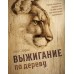 Выжигание по дереву. Полное пошаговое руководство по пирографии для начинающих и увлеченных. Л. Айриш