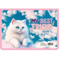 Папка для тетрадей А4 32,5х23см пластиковая на молнии Котик в облаках расширение 5,5см ПМ-А4-29 Пчелка Папка для тетрадей А4 32,5х23см пластиковая на молнии Котик в облаках расширение 5,5см ПМ-А4-29 Пчелка