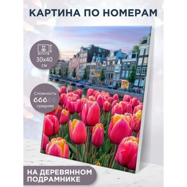 Картина по номерам холст на подрамнике 30х40 Голландские тюльпаны 30 цветов MH0037 Молли