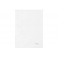 Папка уголок А4 180мкм прозрачная, бесцветная ММ-30941 Стамм  356784