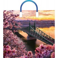 Артпласт/Пакет полиэтиленовый с пластиковой ручкой. Дунай/380 х 340/ПЛР62809/