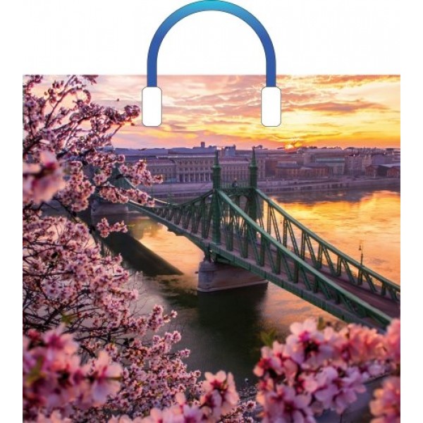 Артпласт/Пакет полиэтиленовый с пластиковой ручкой. Дунай/380 х 340/ПЛР62809/