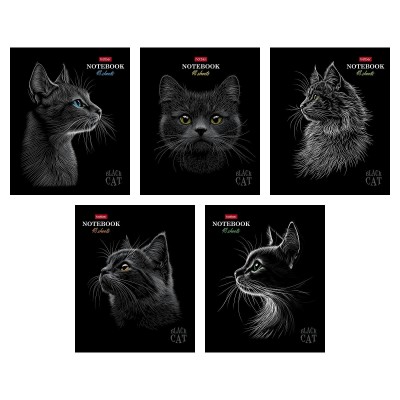 Тетрадь 48 листов А5 клетка Black Cat матовая ламинация 3D лак 5 дизайнов в блоке 65г/м2 48Т5лолВ1 Хатбер 5/60 093159
