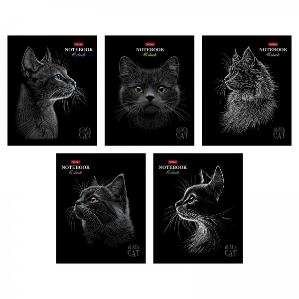 Тетрадь 48 листов А5 клетка Black Cat матовая ламинация 3D лак 5 дизайнов в блоке 65г/м2 48Т5лолВ1 Хатбер 5/60 093159