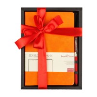 Набор подарочный Ежедневник недатированный А5 96 листов линия кожзам Megapolis classic оранжевый + ручка шариковая 3-787/03-2 Bruno Visconti