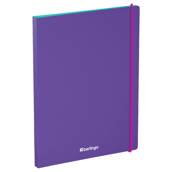 Папка с боковым зажимом А4 17мм 600мкм Raze фиолетовый, карман 383468 Berlingo  FSc_A4152