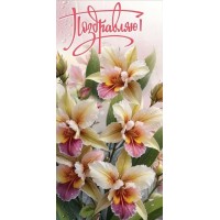 Праздник/Открытка Поздравляю евро/2700457/ Праздник/Открытка Поздравляю евро/2700457/