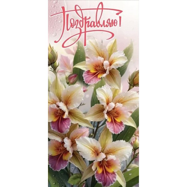 Праздник/Откр. Поздравляю/евро/2700457/