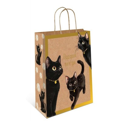 Арт и Дизайн/Пакет бумажный крафт. Подарок внутри/260 х 320 x100/0396.668/