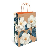 Арт и Дизайн/Пакет бумажный крафт/260 х 320 x100/0396.670/