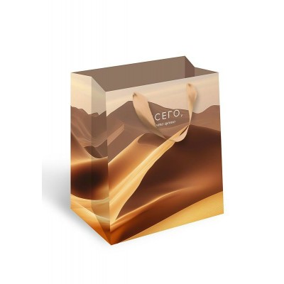 Арт и Дизайн/Пакет бумажный ламинированный. Всего что ценно/150 х 170 x 100/1593.201/