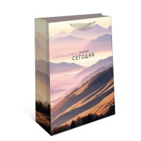 Арт и Дизайн/Пакет бумажный ламинированный. Лучший день сегодня/260 х 320 x 100/1595.202/